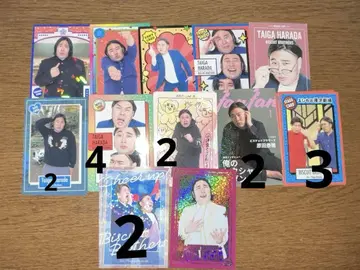 비스킷 브라더스 콜레카 묶음 판매