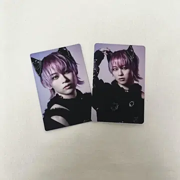 초특급 슈야 NINE LIVES 트레이딩 카드
