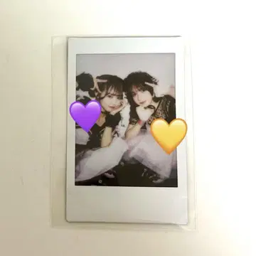 발렌타인 의상 나카가와 루카 하야세 노엘 페어 폴라로이드