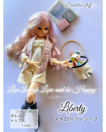 리카짱 의류 옷 갈아입기 세트 22cm 인형 의류
