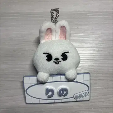스키즈 리노 네임 백참
