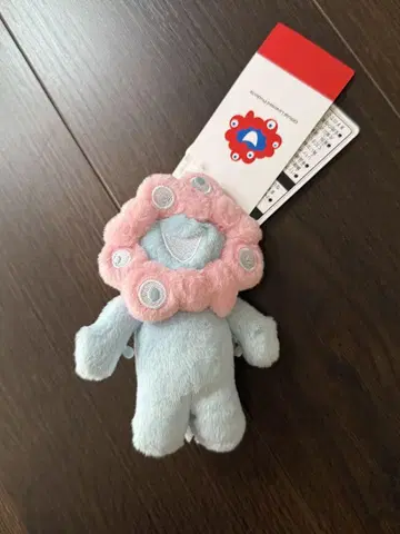 파스텔 미야쿠카
