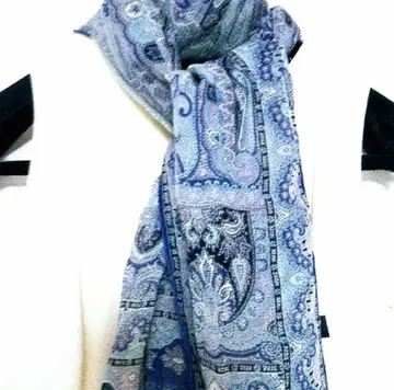 ETRO 실크 페이즐리 스톨 블루 계열