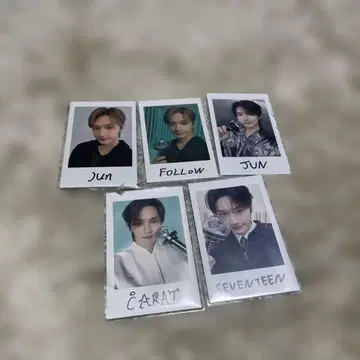 seventeen 준 인스턴트 사진