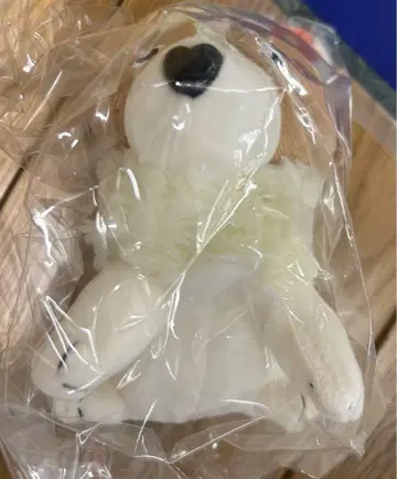 미도리키이로 사회 카리플라워 봉제 인형 키링