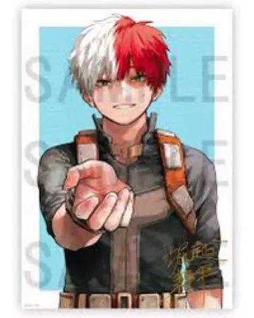 리치 포스터 토도로키 쇼토 B2