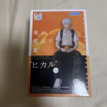 빛이 죽은 여름 쵸코노세 프리미엄 피규어 히카루