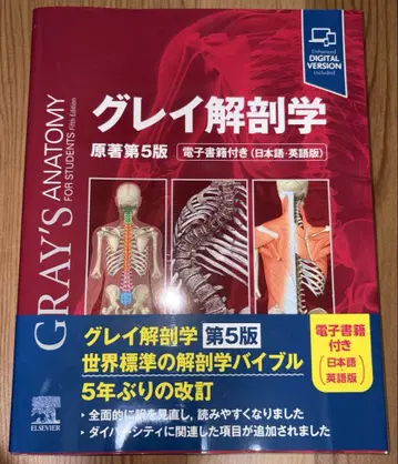 그레이 해부학 원서 제5판