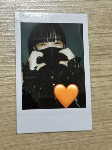ASP 치치치치치치 폴라로이드 1