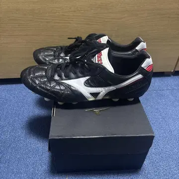 모렐리아 2 JAPAN 크로스 스티치