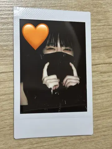 ASP 치치치치치치 폴라로이드 2