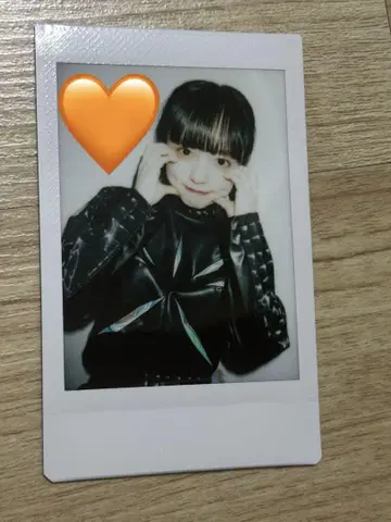 ASP 치치치치 치치치 폴라로이드 3