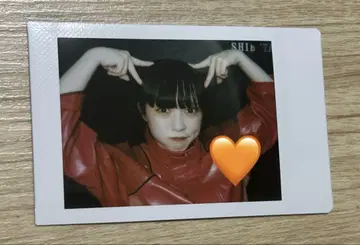 ASP 치치치치치치 폴라로이드 4