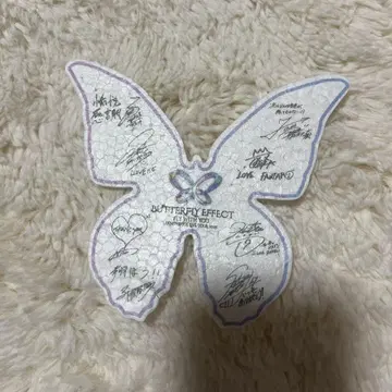 fantastics BUTTERFLY EFFECT 낙하물 나비