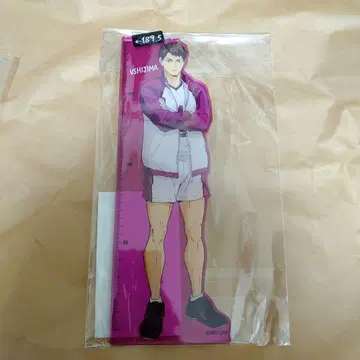 하이큐!! 시라토리자와 학원 고교 우시지마 와카토시 아크릴 눈금자