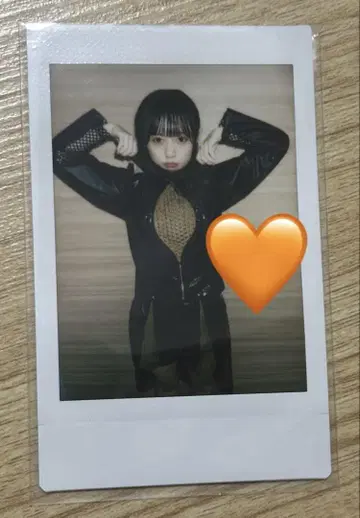 ASP 치치치치치치 폴라로이드 11
