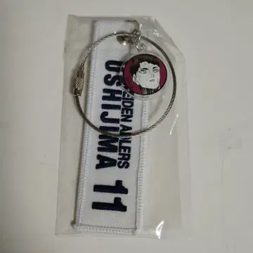 하이큐 크로스키링 우시지마