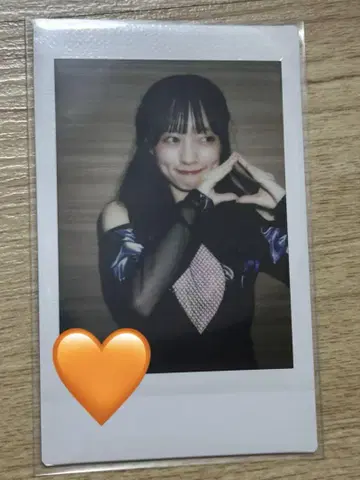 ASP 치치치치치치 폴라로이드 12