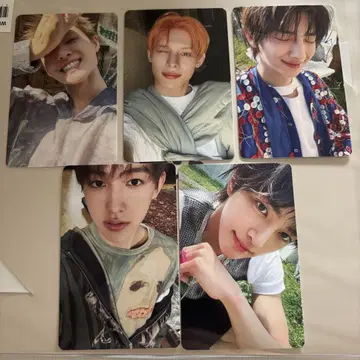 cortis 트레이딩 카드 weverse 5장 세트