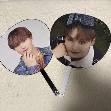 DXTEEN 테라오 코신 부채