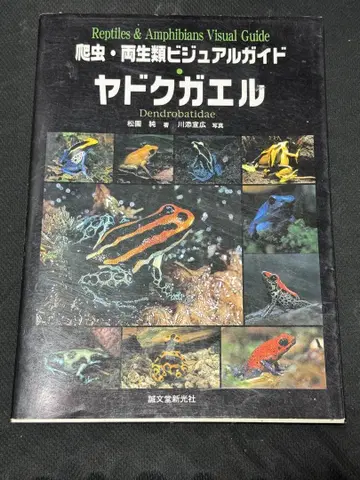 파충양서류 비주얼 가이드 독개구리