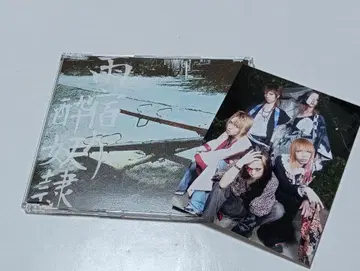 취 노예 한정판 CD 비 피난