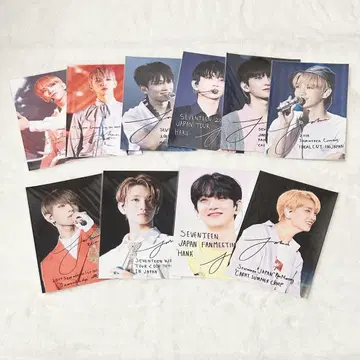 seventeen 로손 프린트 조슈아