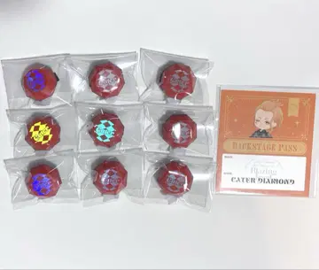 트위스테 브레이징 주얼 케이트 세트