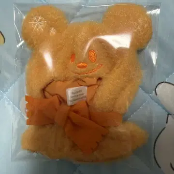 디즈니 판초