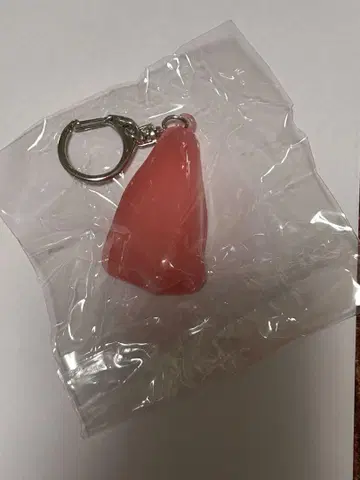 타마 이쿠타 팬 미팅 VOL.2 키링