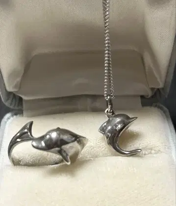 순은제 돌고래 참과 반지 세트, 케이스 포함