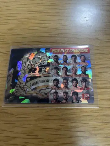 RIZIN 감자 스틱 카드 / No. 30 / 시크릿 카드
