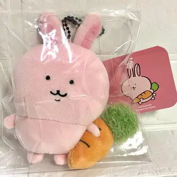 나가노 토끼