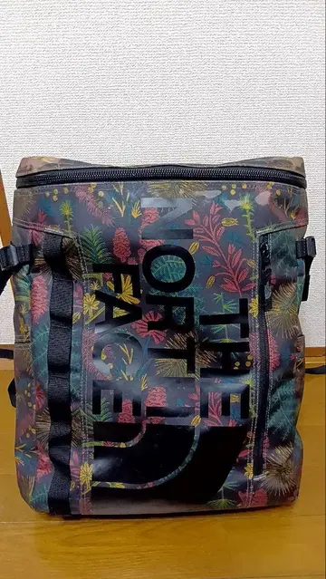 THE NORTH FACE 퓨즈 박스 레어 컬러 30L