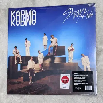 Stray Kids KARMA 타겟 한정판 레코드 타겟 vinyl