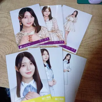 사카미치 시리즈 사진 세트 복수 매