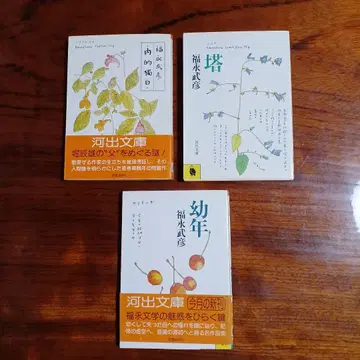 후쿠나가 타케히코 카와데 문고 3권 세트입니다.