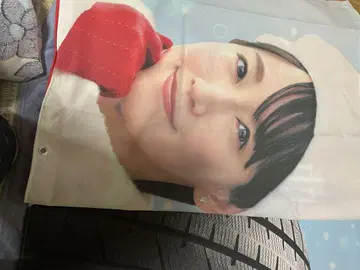 요코하마 타이어 요시오카 리호 대형 가로막
