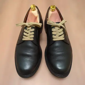 오리엔탈 바이론 9.5