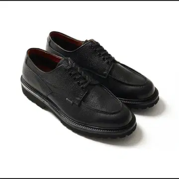 Regal Shoe & Co. U-Tip GTX