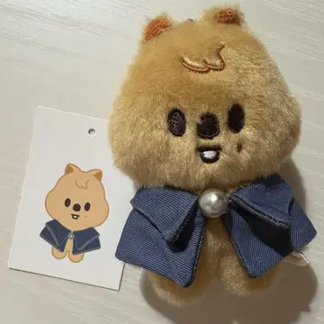 스키즈 한 10cm 봉제 인형 한쿼카 skzoo