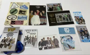 WILDBLUE 스티커