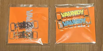 VAUNDY 라이브 FUSION 듀브레 미개봉 VAUNDY