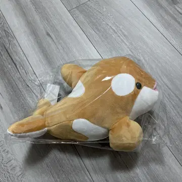 고베 스마 월드 범고래 오르카 봉제 인형 한정 컬러 시나몬 4종