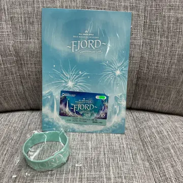 FJORD 피오르드 미세스 러버 밴드 일일 승차권