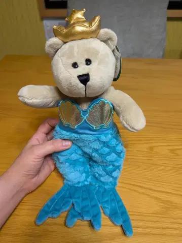 가격 인하 스타벅스 베어리스타 기념일 베어리스타