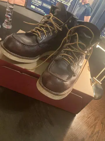 RED WING 8138 8.1/2 D 박스 포함