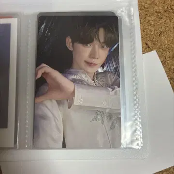 txt 설문 트레이딩 카드 영준