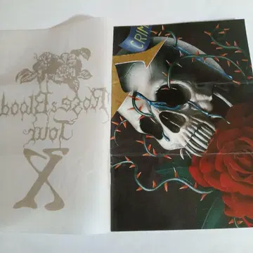 1989년 X JAPAN 팬클럽 뉴스레터 2호