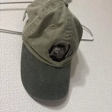 gray life shop 개 자수 캡 구제 의류